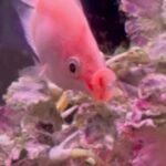 OKjJNurJRgQSAn6nGWk l 150x150 - 俺の時代