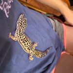 UZYBvj2ovijU54UVcJd l 150x150 - &#x1f98e;&#x1f493;