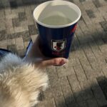 6imVSRXwcvFxmC81MIV l 150x150 - &#x1f1ef;&#x1f1f5;&#x26bd;&#xfe0f;