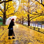 HY1REeg2vX6KAjEcohm l 150x150 - おや、華金&#x1fae7;