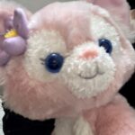 JVPkLfuIDimDjb0tucK l 150x150 - ゆたろいます