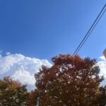 jLzhkw6mmYNZ2wLOWKv l 150x150 - やっはー&#x1f337;&#x1f337;ひふへほー&#x1f337;&#x1f337;