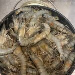 u5ukb0qfsVfXihI85Xt l 150x150 - スイってキャラがかわいい