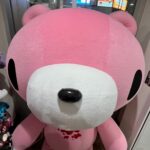 Ca8ctq7tMLKOvYwyqO2 l 150x150 - 🐹