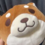 CXmXW8ArTGooyFu38rY l 150x150 - 🐕 ͗ ͗